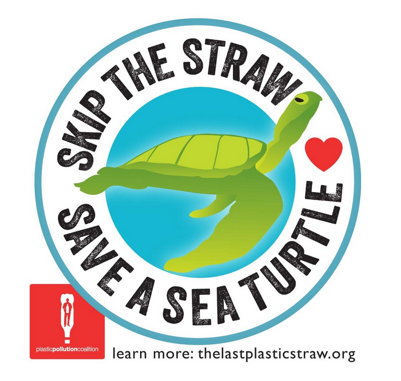 skip the straw save the sea turtle