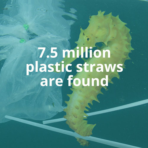 7.5 million plastic straws